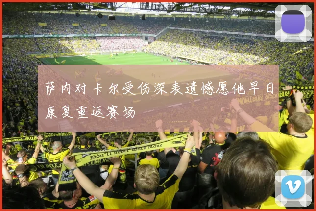 萨内对卡尔受伤深表遗憾愿他早日康复重返赛场